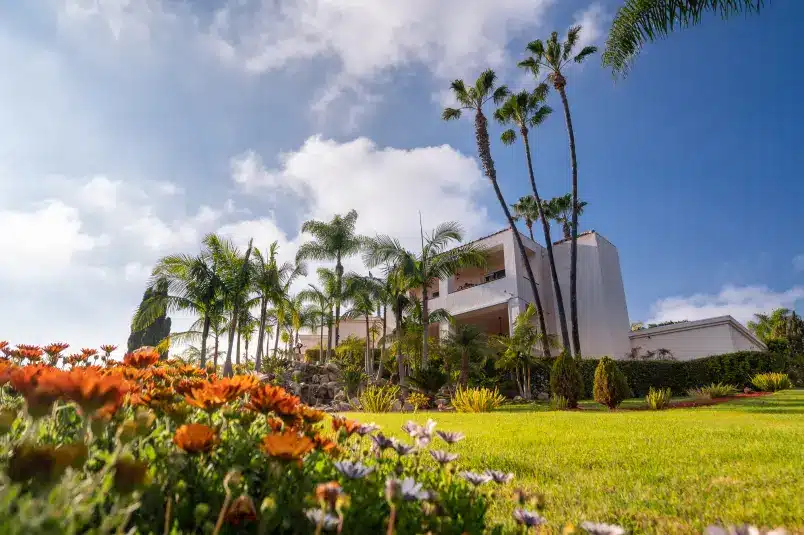 Villa Oasis front view with palm trees stretching towards the sky
