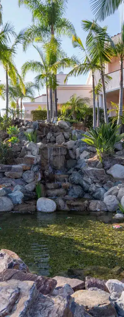 | insurance accepted 1