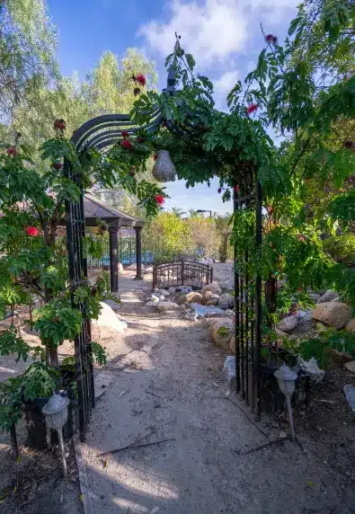 | insurance accepted 2